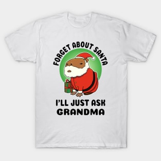 Forget about Santa I'll just ask Grandma Capybara Santa T-Shirt